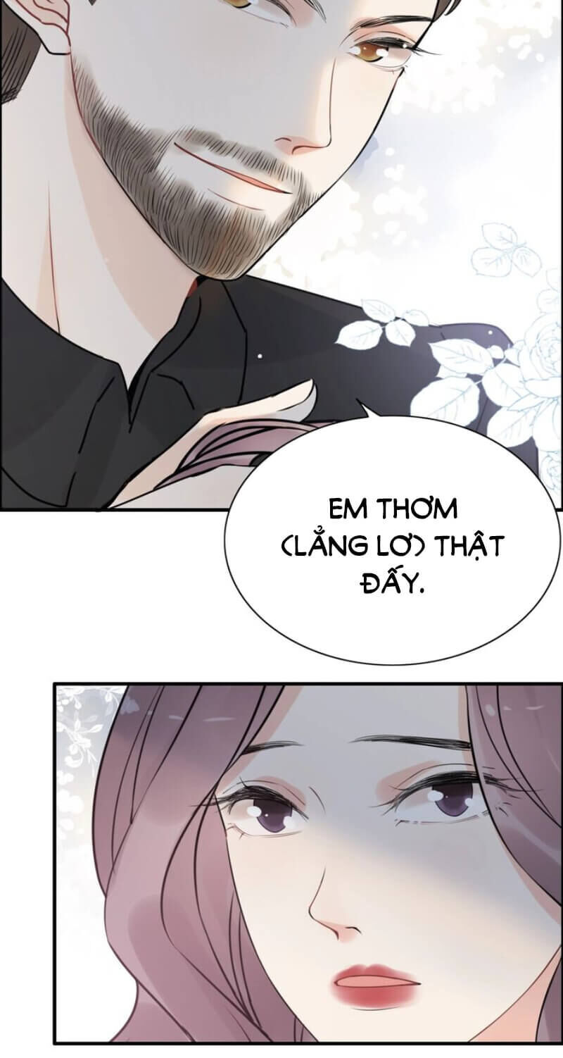 Cô Vợ Hợp Đồng Bỏ Trốn Của Tổng Giám Đốc Chapter 249 - 25