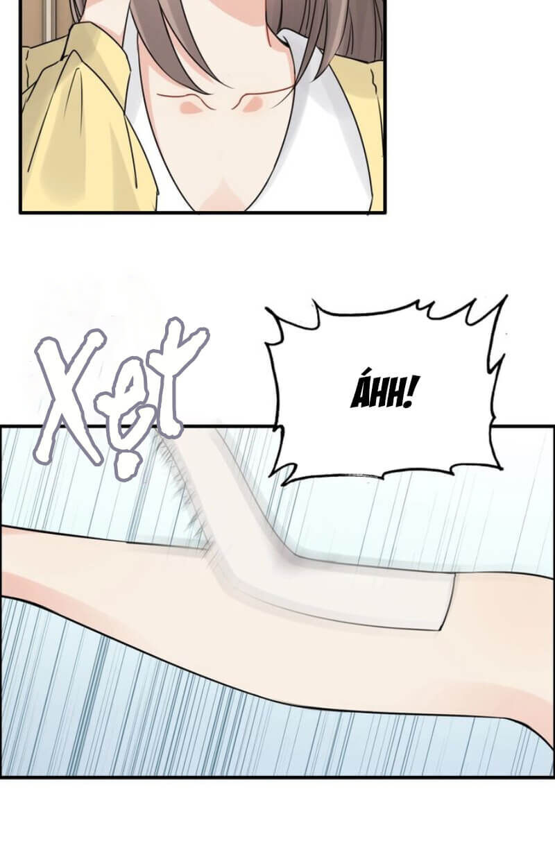 Cô Vợ Hợp Đồng Bỏ Trốn Của Tổng Giám Đốc Chapter 249 - 6