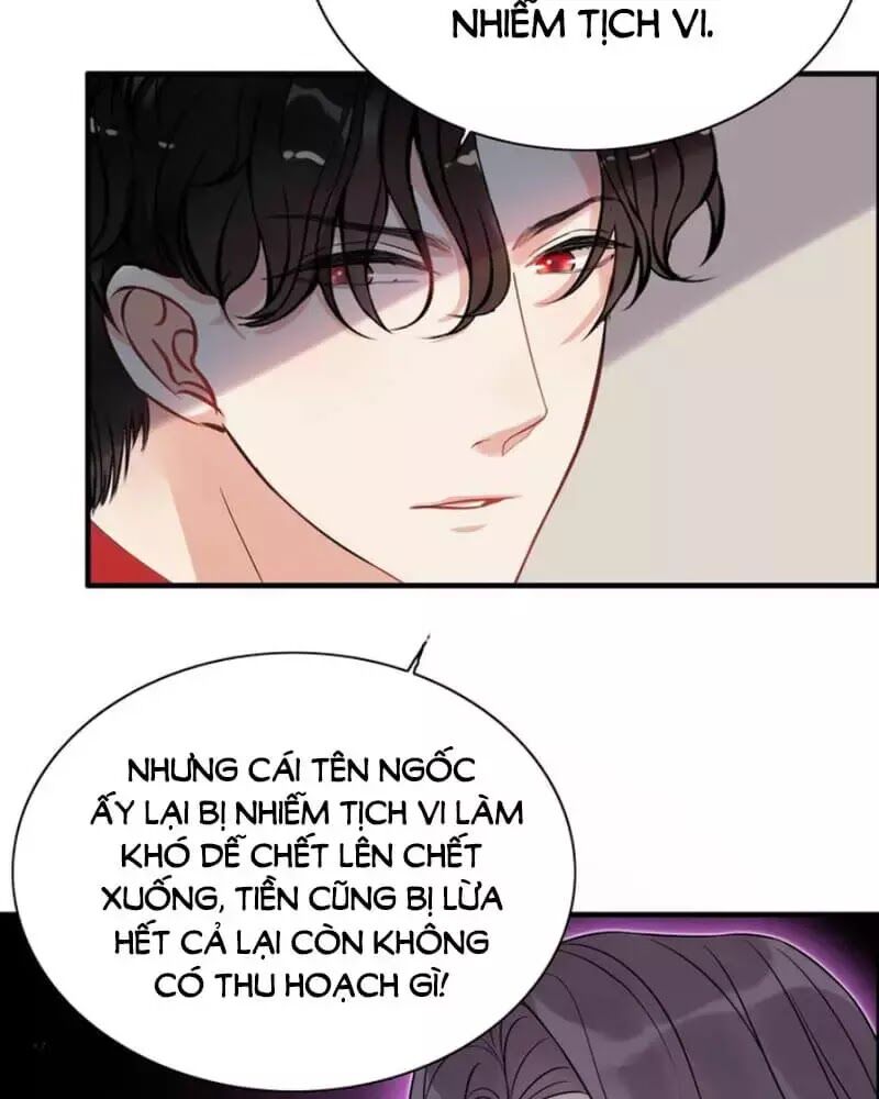 Cô Vợ Hợp Đồng Bỏ Trốn Của Tổng Giám Đốc Chapter 250 - 5