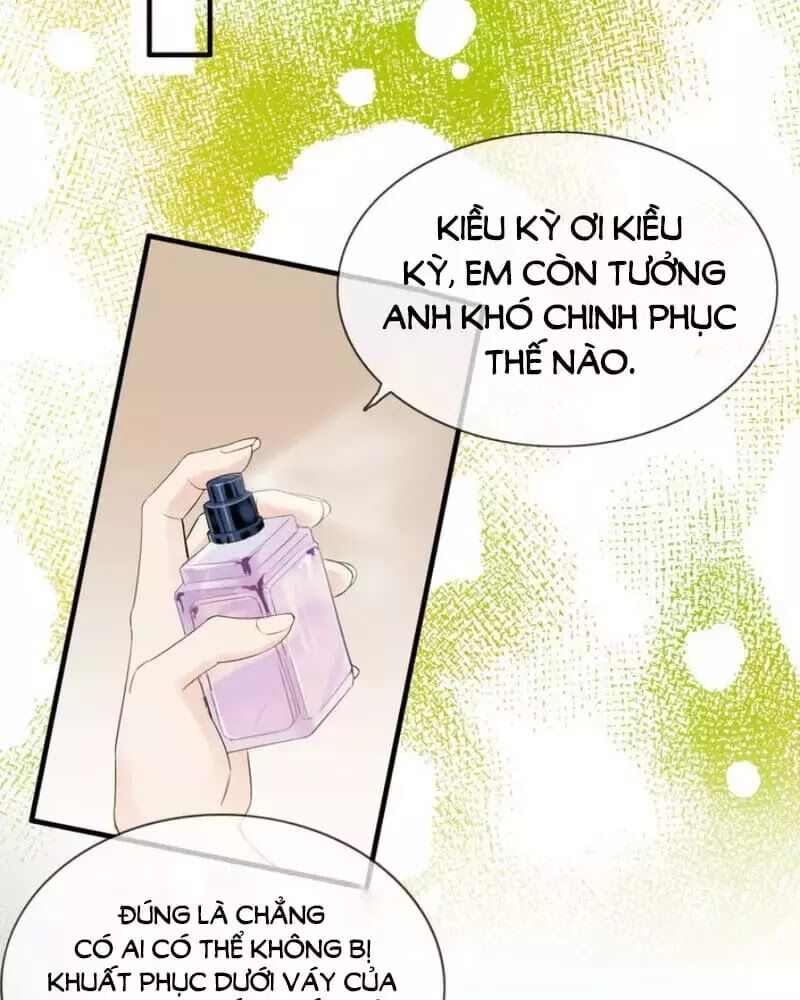 Cô Vợ Hợp Đồng Bỏ Trốn Của Tổng Giám Đốc Chapter 250 - 41