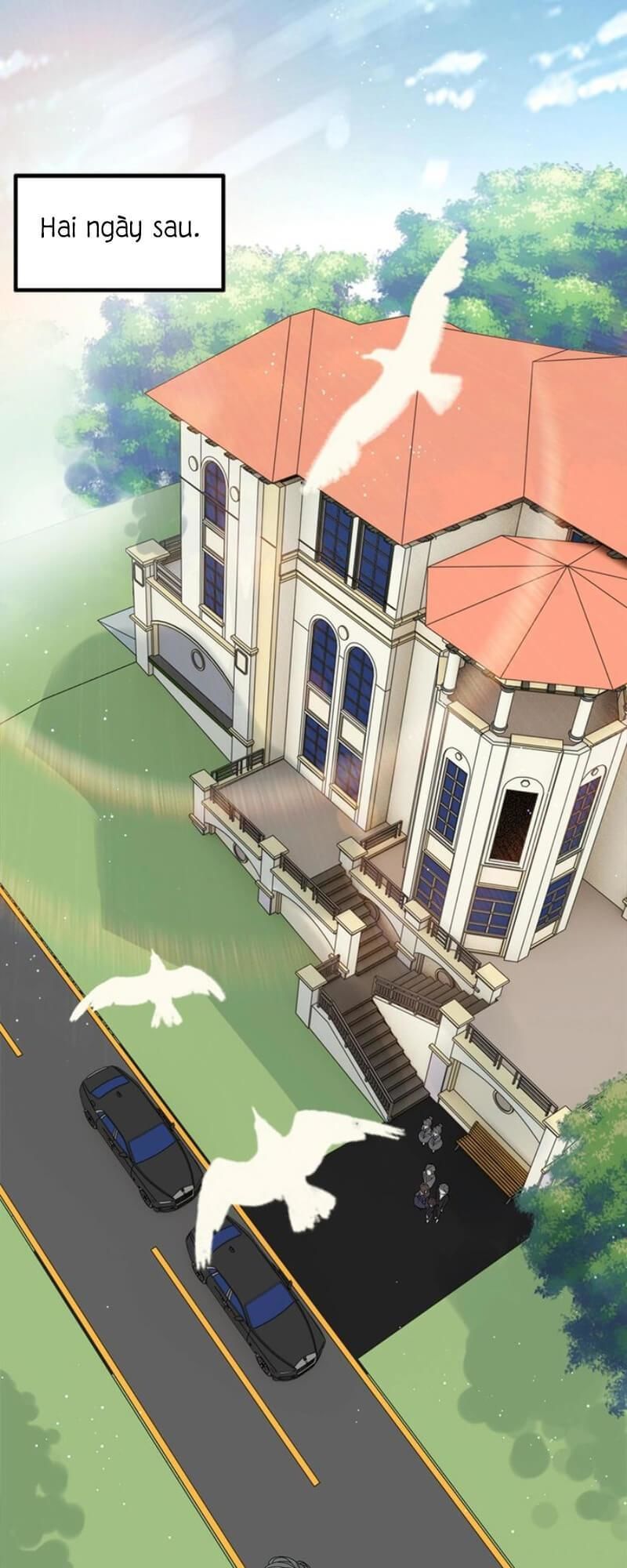 Cô Vợ Hợp Đồng Bỏ Trốn Của Tổng Giám Đốc Chapter 236 - 20