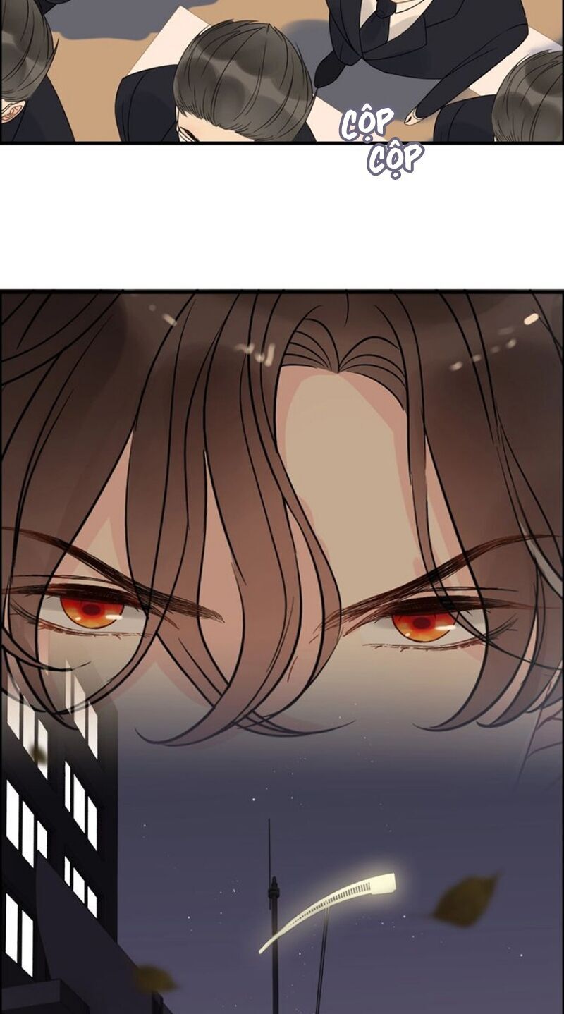Cô Vợ Hợp Đồng Bỏ Trốn Của Tổng Giám Đốc Chapter 261 - 17