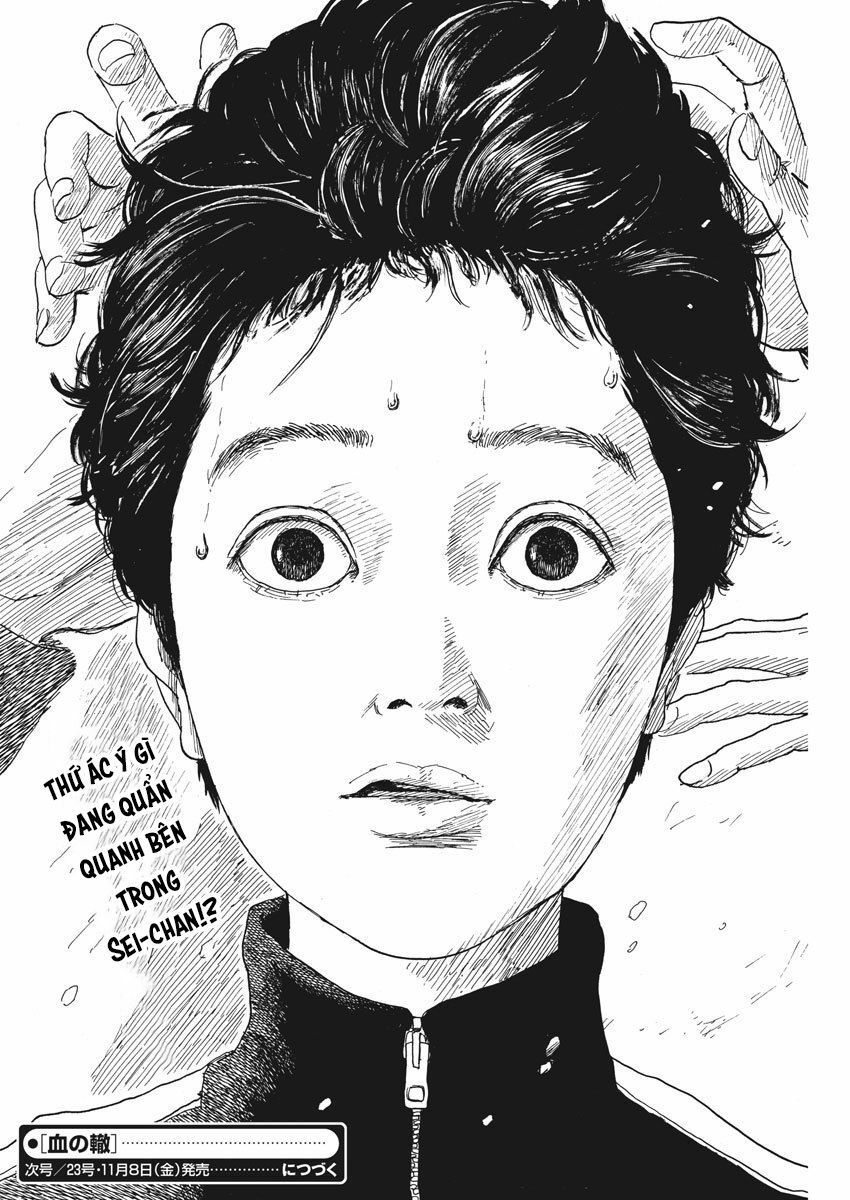 Đường Mòn Máu Chapter 61 - 26