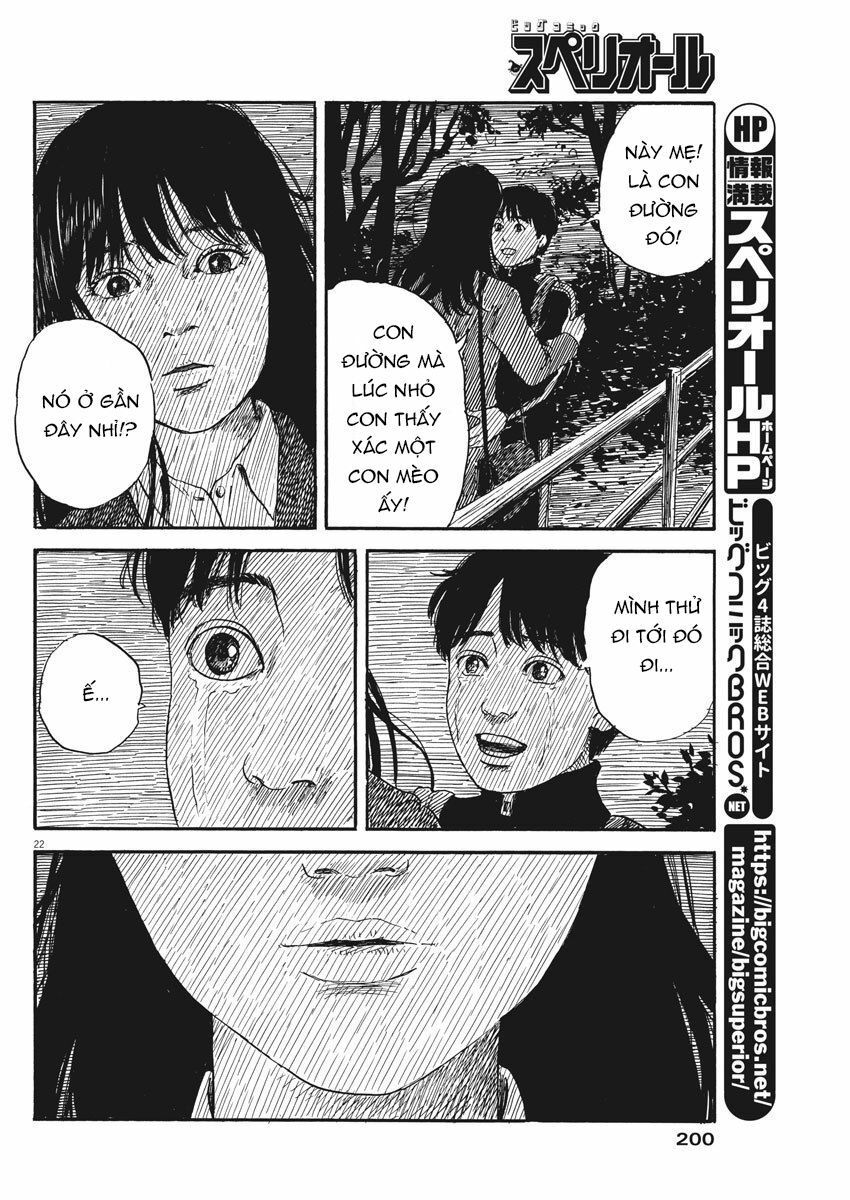 Đường Mòn Máu Chapter 64 - 23