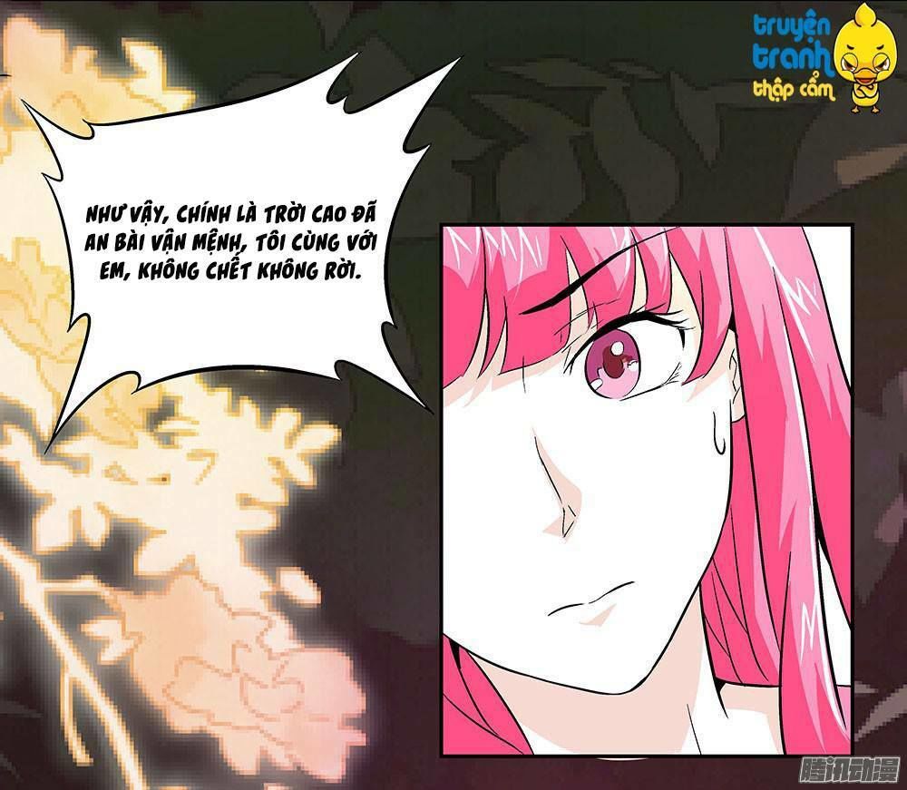 Cường Sủng Hào Môn Tiểu Manh Thê Chapter 6 - 14