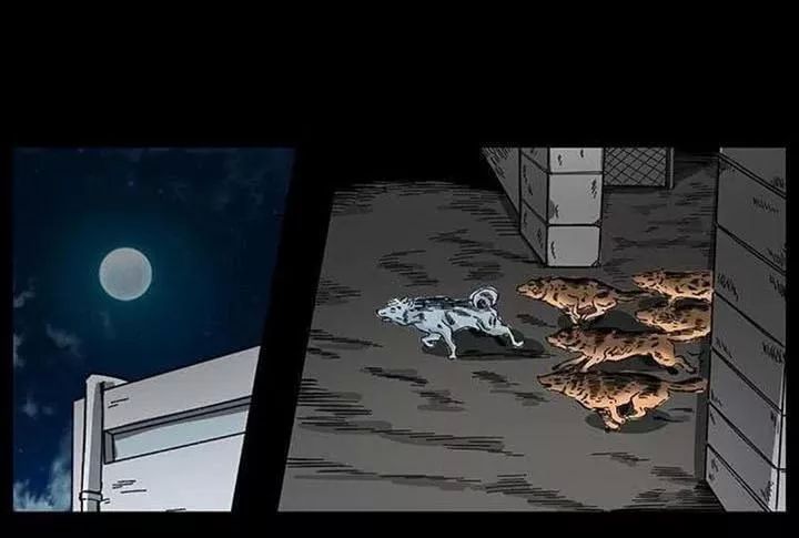 U Minh Ngụy Tượng Chapter 155 - 75