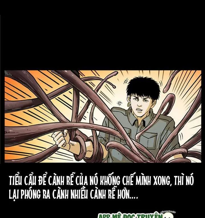 U Minh Ngụy Tượng Chapter 239 - 67