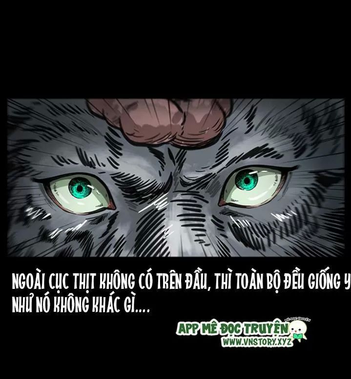 U Minh Ngụy Tượng Chapter 254 - 82