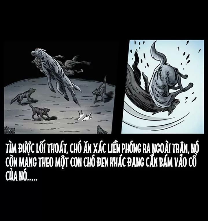 U Minh Ngụy Tượng Chapter 255 - 6