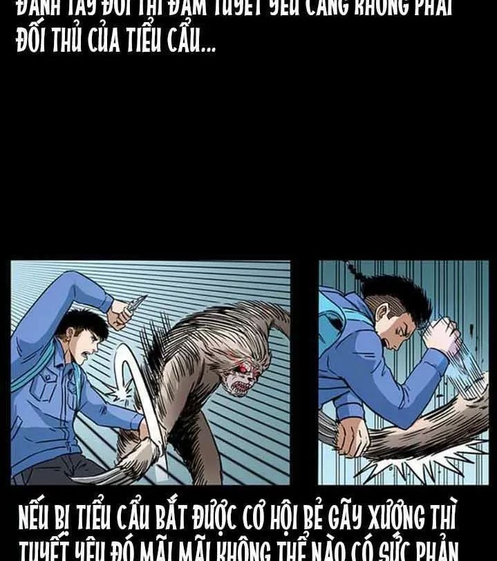 U Minh Ngụy Tượng Chapter 277 - 67