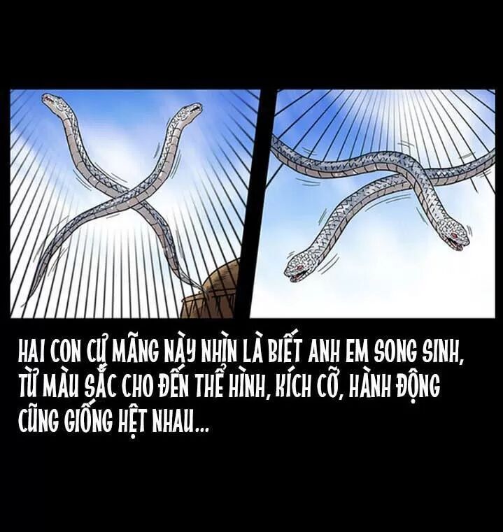 U Minh Ngụy Tượng Chapter 286 - 11