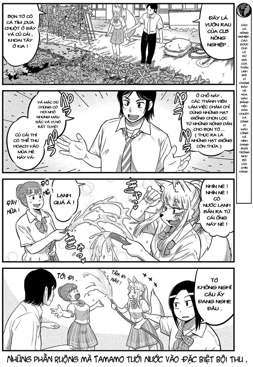 High School Inari Tamamo-Chan Chapter 13 - 5