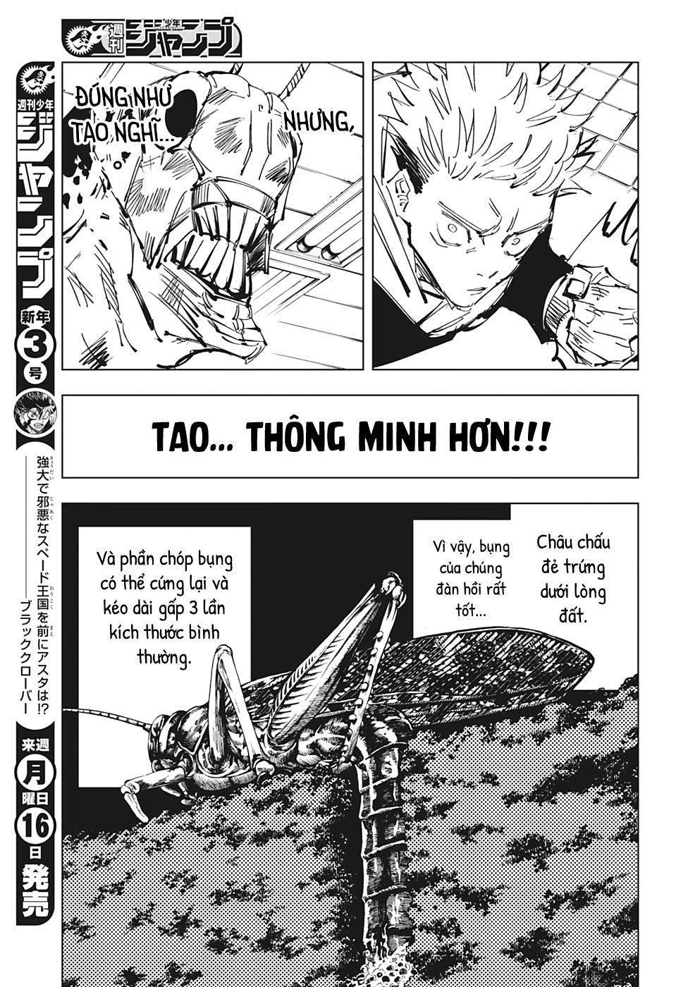 Jujutsu Kaisen - Chú Thuật Hồi Chiến Chapter 87 - 16