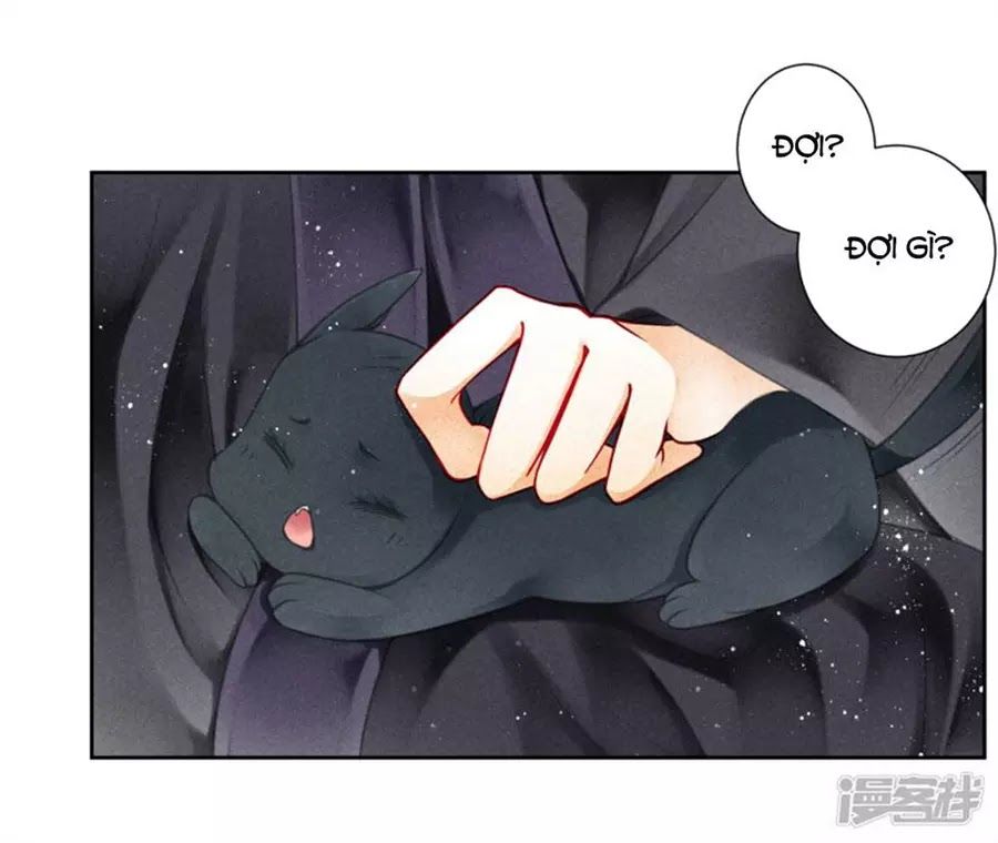 Ái Thượng Vô Địch Tiếu Hoàng Hậu Chapter 86 - 28