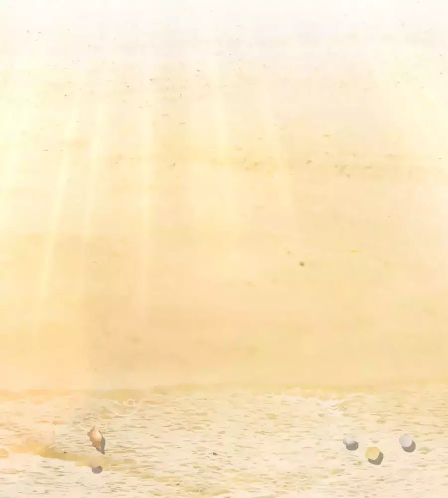 Kiêu Sủng Y Phi Chapter 151 - 22