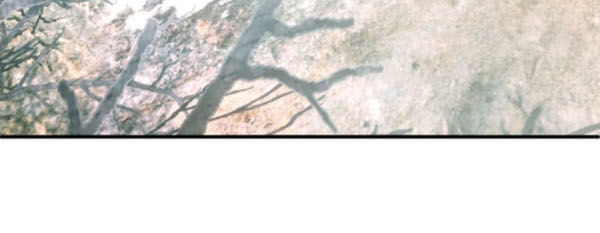 Yêu Giả Vi Vương Chapter 133 - 16