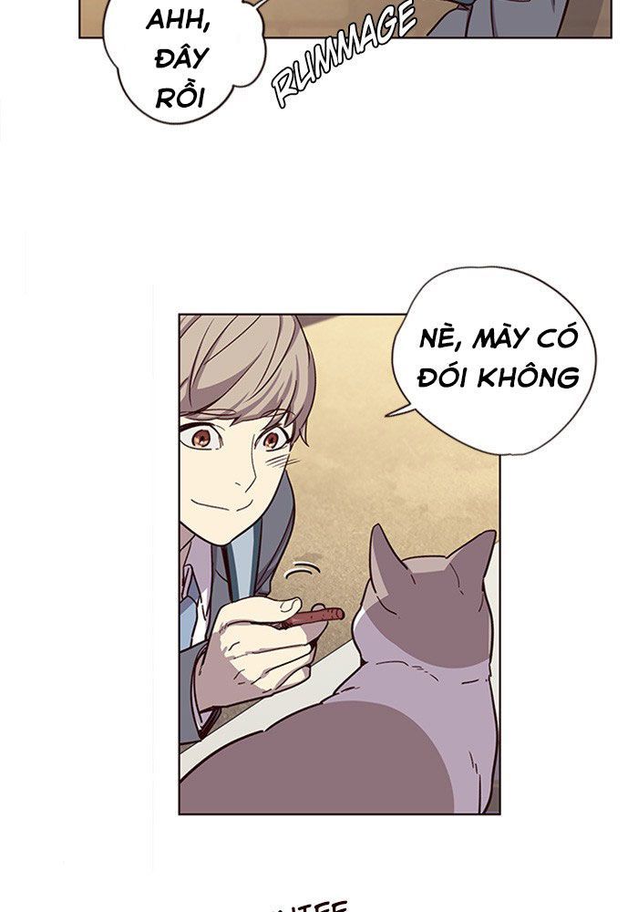 Hoá Thân Thành Mèo Chapter 11 - 54