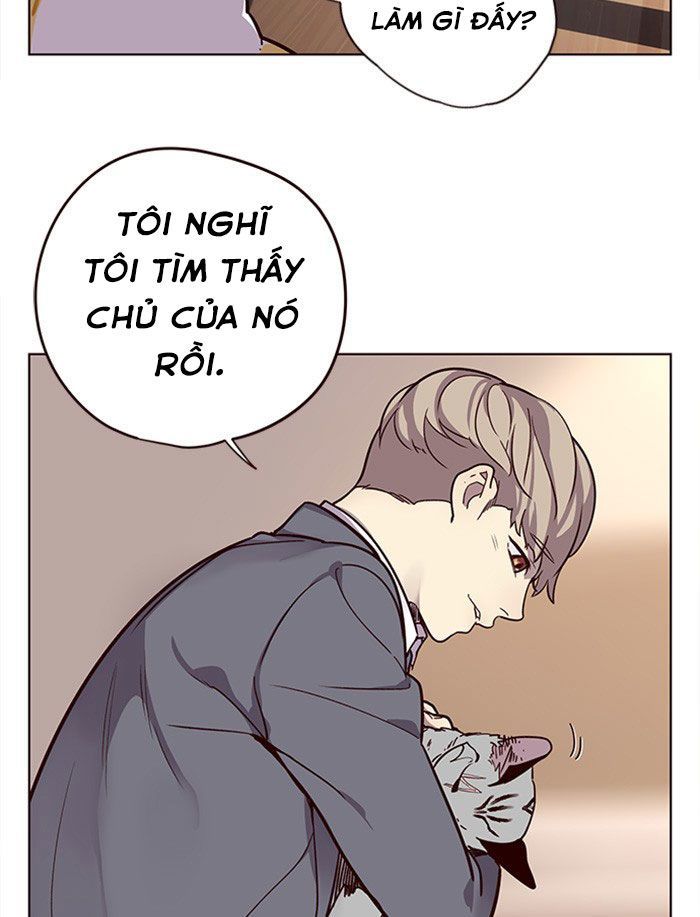 Hoá Thân Thành Mèo Chapter 11 - 79