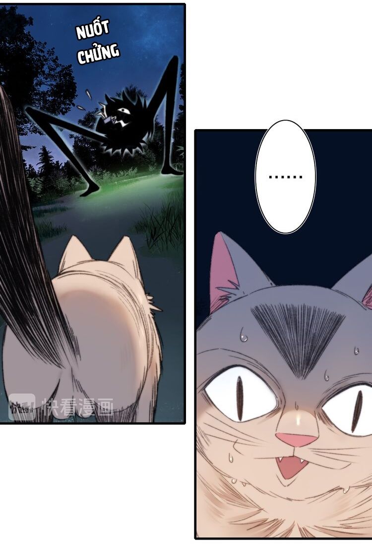 Lệnh Cấm Nghị Tộc 2 Ẩn Diện Trấn Chapter 69 - 15