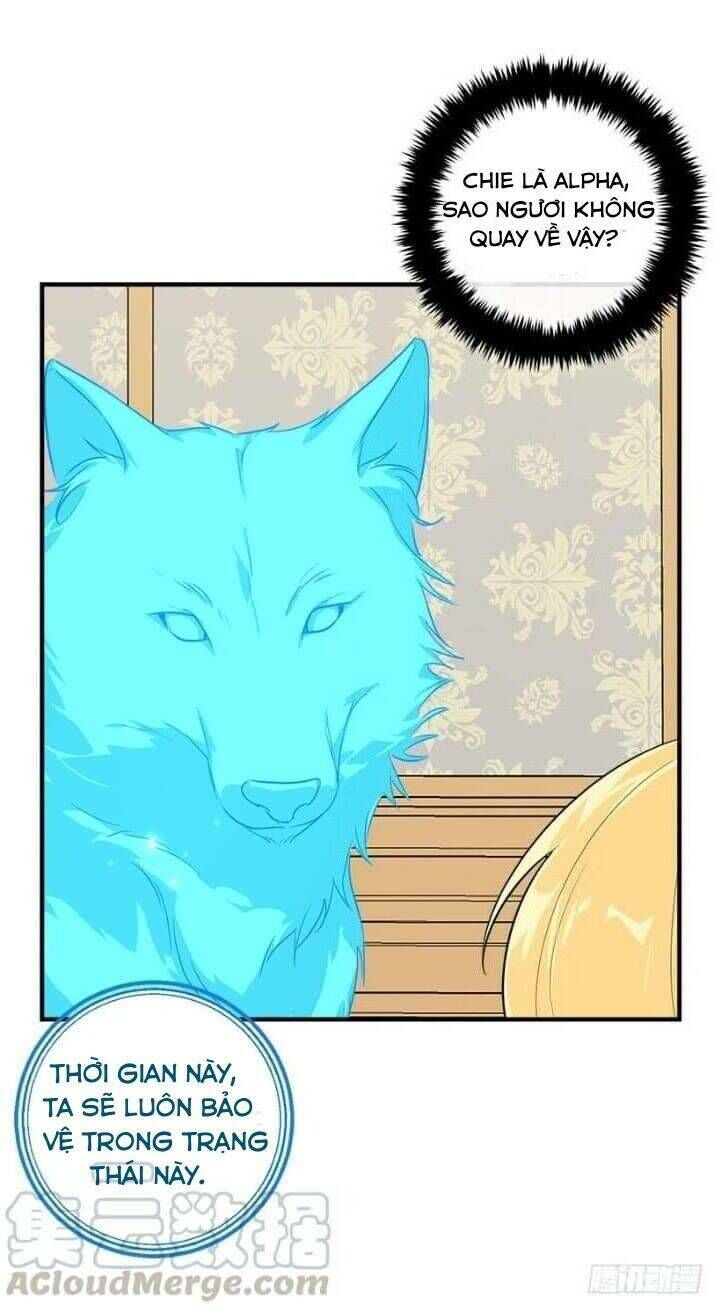 Tôi Là Tiểu Thư Của Gia Đình Này Chapter 131 - 16