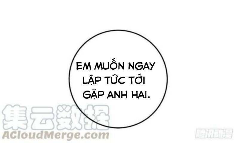 Tôi Là Tiểu Thư Của Gia Đình Này Chapter 131 - 24