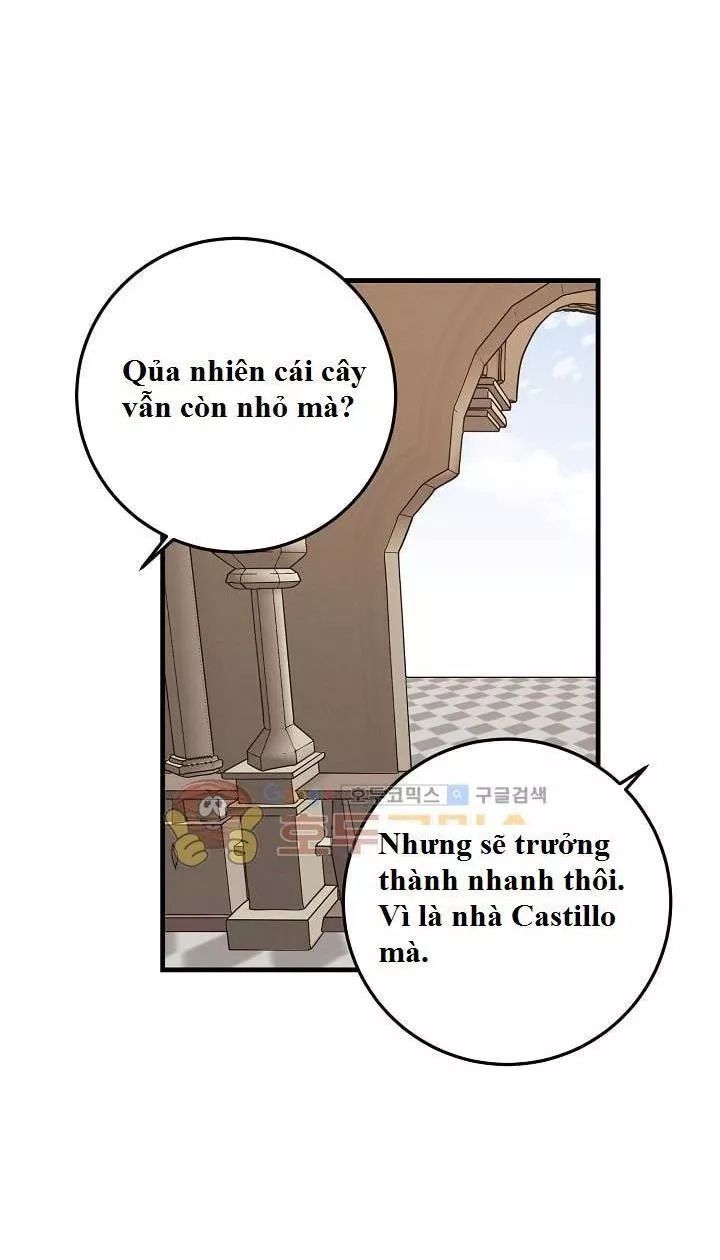 Tôi Là Tiểu Thư Của Gia Đình Này Chapter 16 - 40