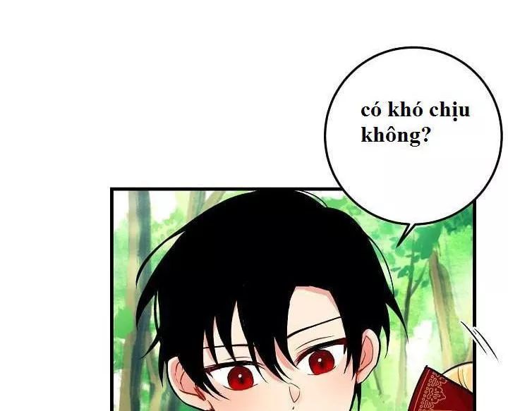 Tôi Là Tiểu Thư Của Gia Đình Này Chapter 17 - 25