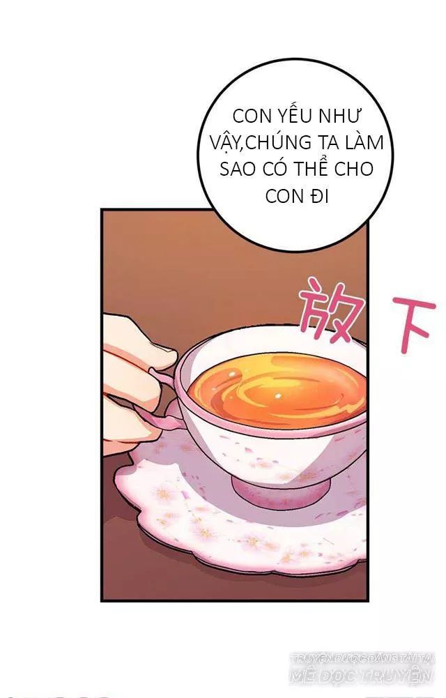 Tôi Là Tiểu Thư Của Gia Đình Này Chapter 25.1 - 11