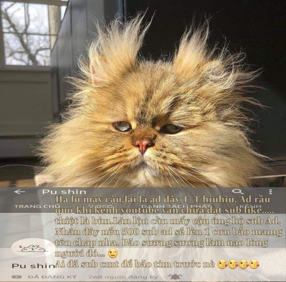 Tôi Là Tiểu Thư Của Gia Đình Này Chapter 25.2 - 20