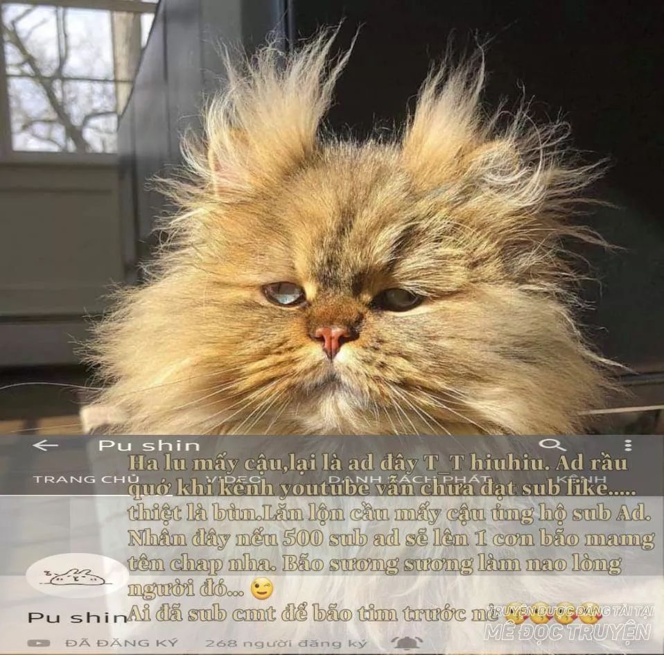 Tôi Là Tiểu Thư Của Gia Đình Này Chapter 26.1 - 1