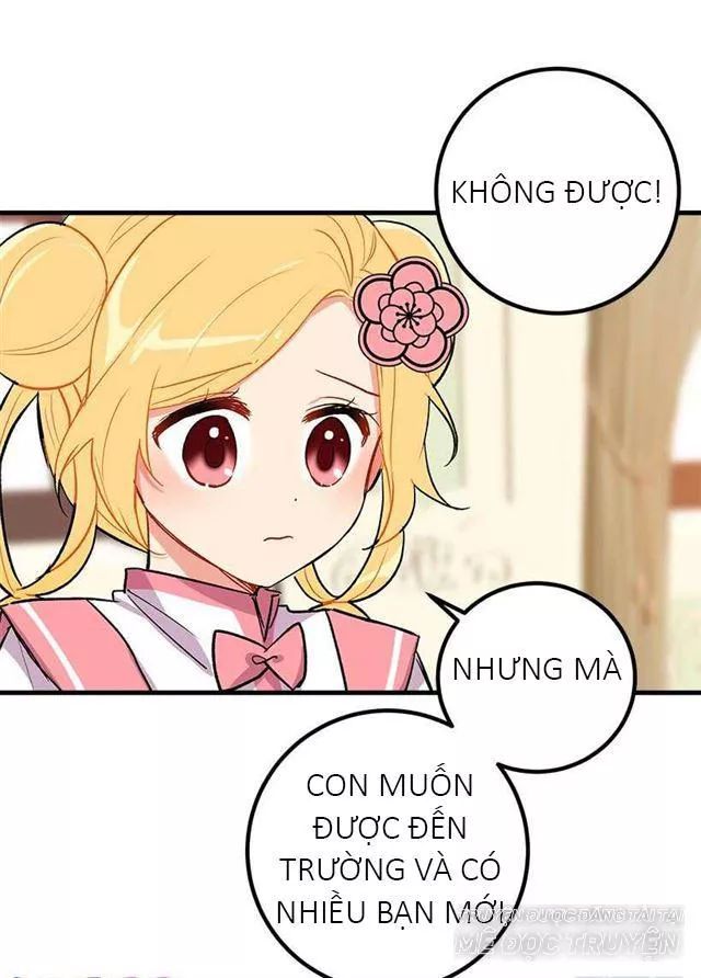 Tôi Là Tiểu Thư Của Gia Đình Này Chapter 26.1 - 16