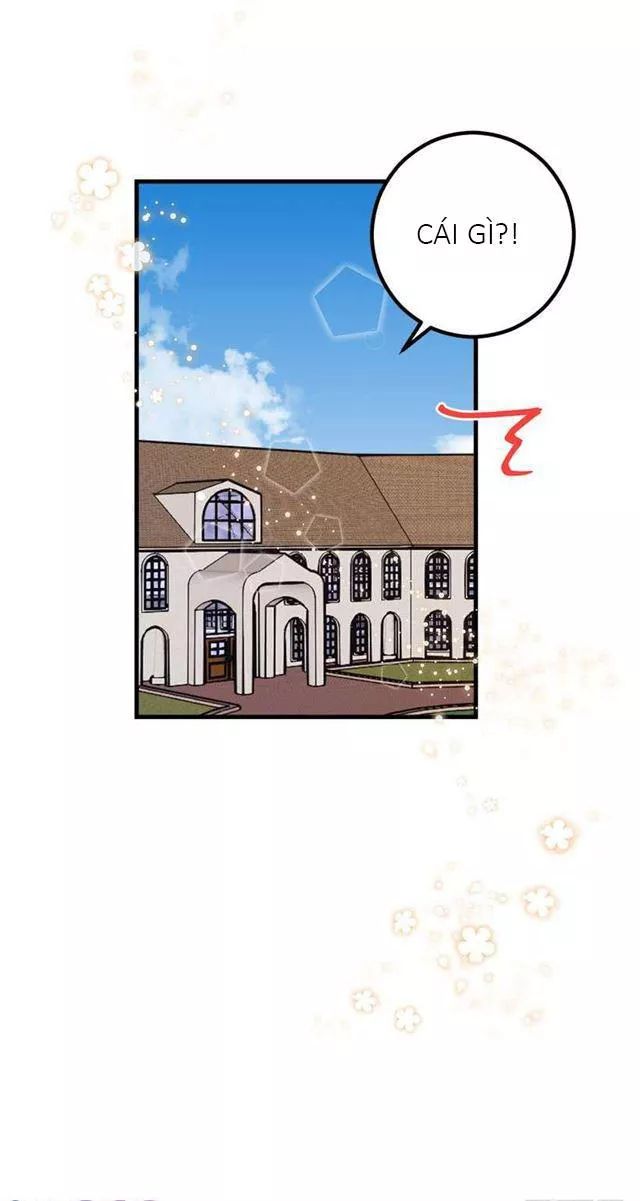 Tôi Là Tiểu Thư Của Gia Đình Này Chapter 26.1 - 24