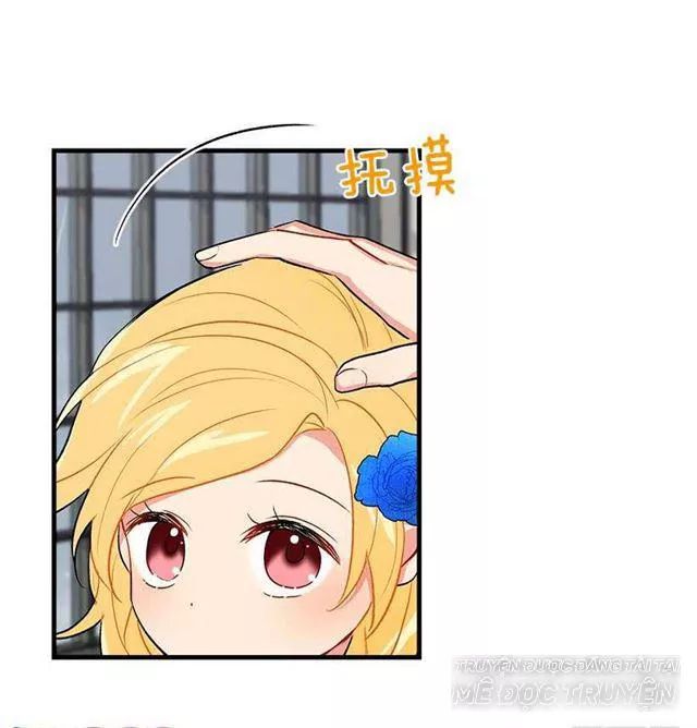 Tôi Là Tiểu Thư Của Gia Đình Này Chapter 29 - 16