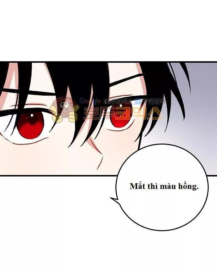 Tôi Là Tiểu Thư Của Gia Đình Này Chapter 6 - 17