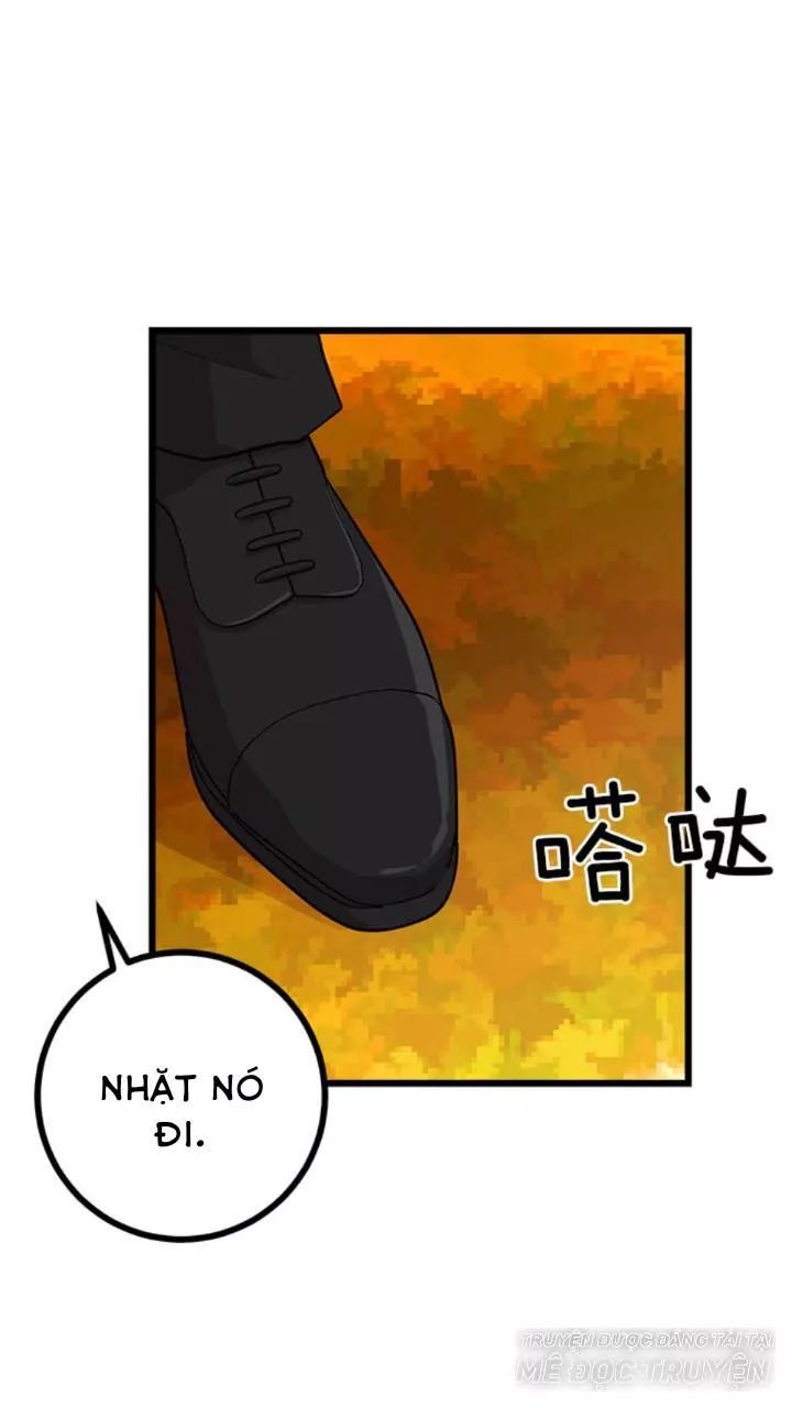 Tôi Là Tiểu Thư Của Gia Đình Này Chapter 60 - 31