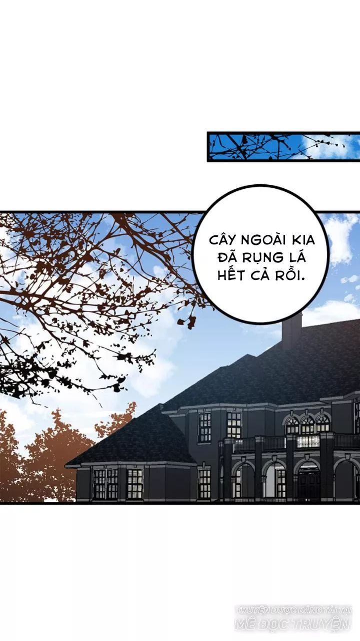 Tôi Là Tiểu Thư Của Gia Đình Này Chapter 60 - 6