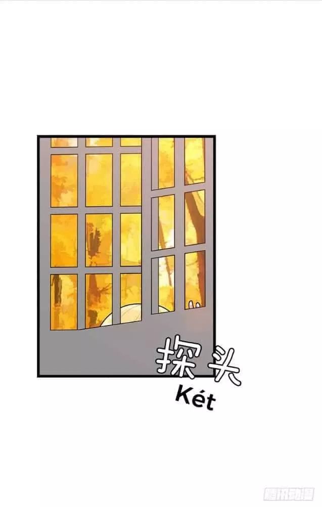 Tôi Là Tiểu Thư Của Gia Đình Này Chapter 62 - 5