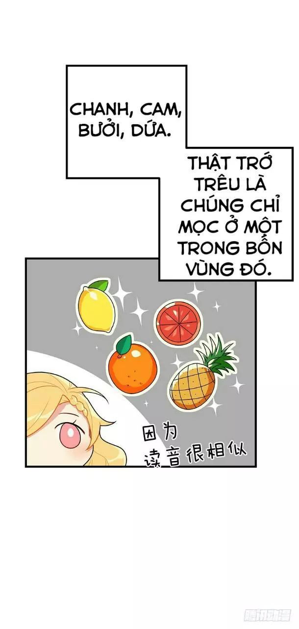 Tôi Là Tiểu Thư Của Gia Đình Này Chapter 70 - 23