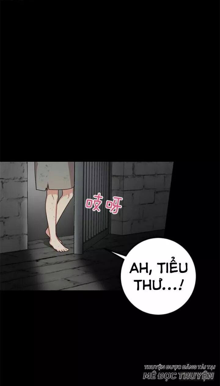 Tôi Là Tiểu Thư Của Gia Đình Này Chapter 75 - 37