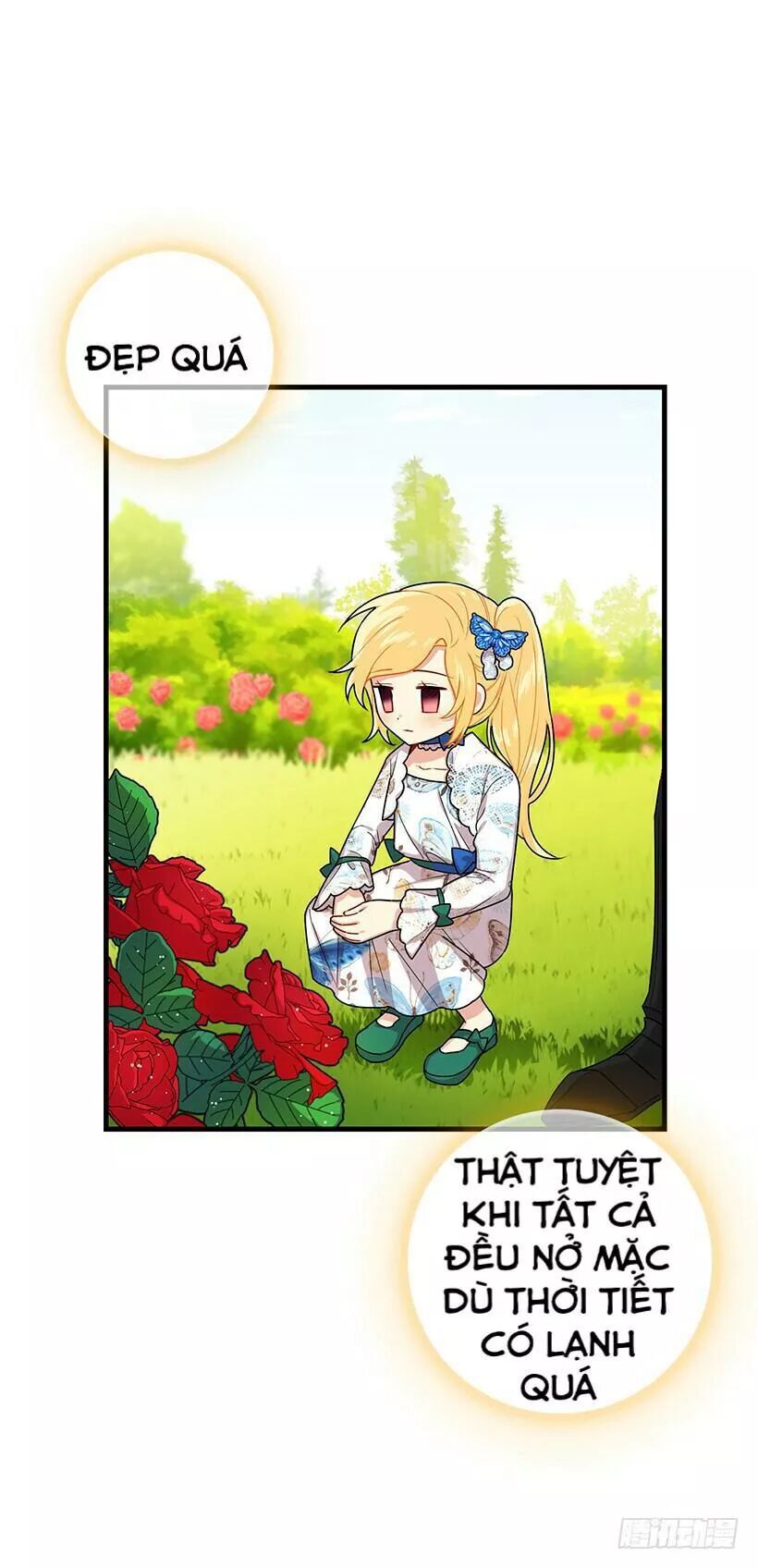 Tôi Là Tiểu Thư Của Gia Đình Này Chapter 79.1 - 16