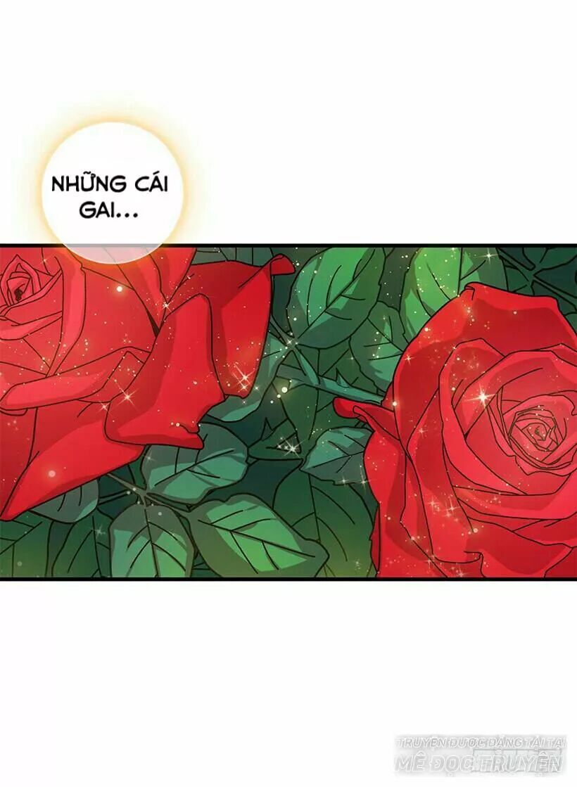 Tôi Là Tiểu Thư Của Gia Đình Này Chapter 79.1 - 17