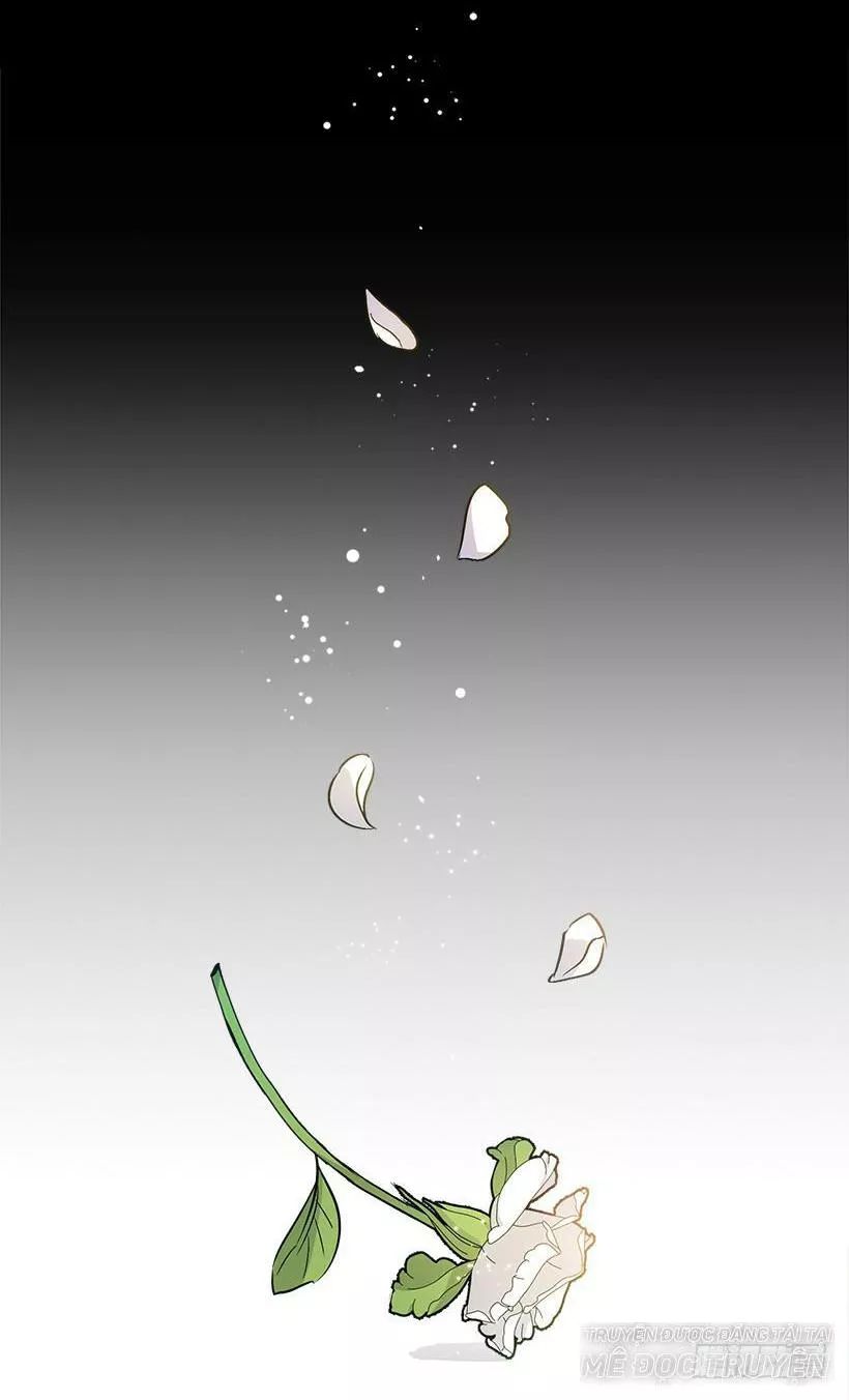 Tôi Là Tiểu Thư Của Gia Đình Này Chapter 96 - 44