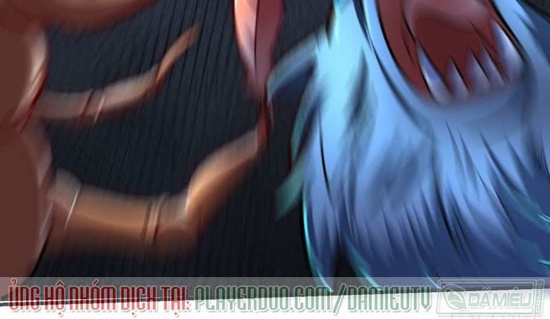 Tối Cường Thăng Cấp Chapter 10 - 10