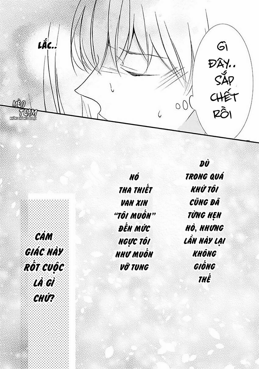 Tình Yêu Bí Mật Chapter 14 - 22