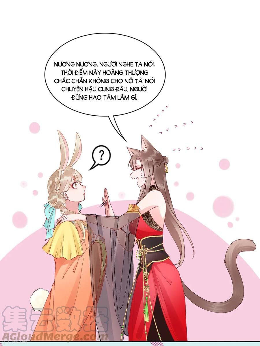 Hoàng Phi 9000 Tuổi Chapter 73 - 9
