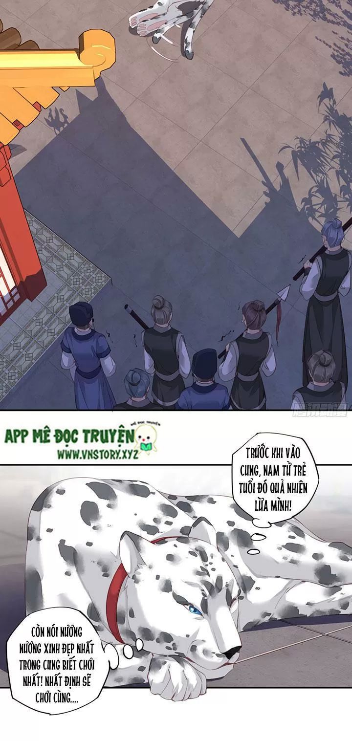 Hoàng Hậu Ương Bướng Chapter 172 - 14