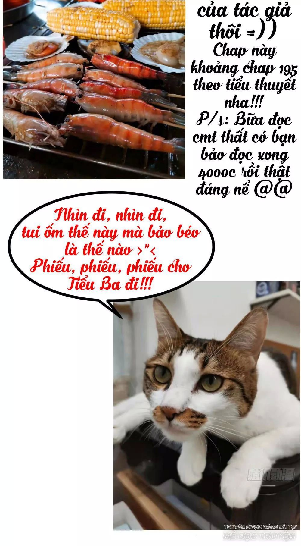 Thái Tử Phi Nhà Ta Thật Hung Hăng Chapter 28 - 111