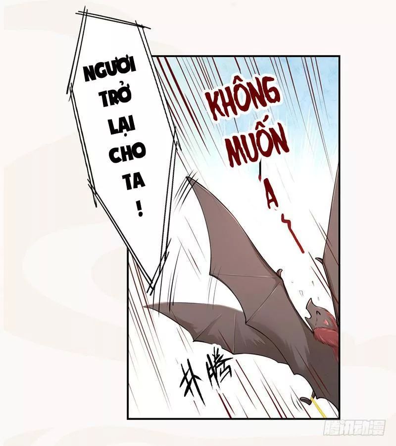Tuyệt Thế Luyện Đan Sư Chapter 34 - 20