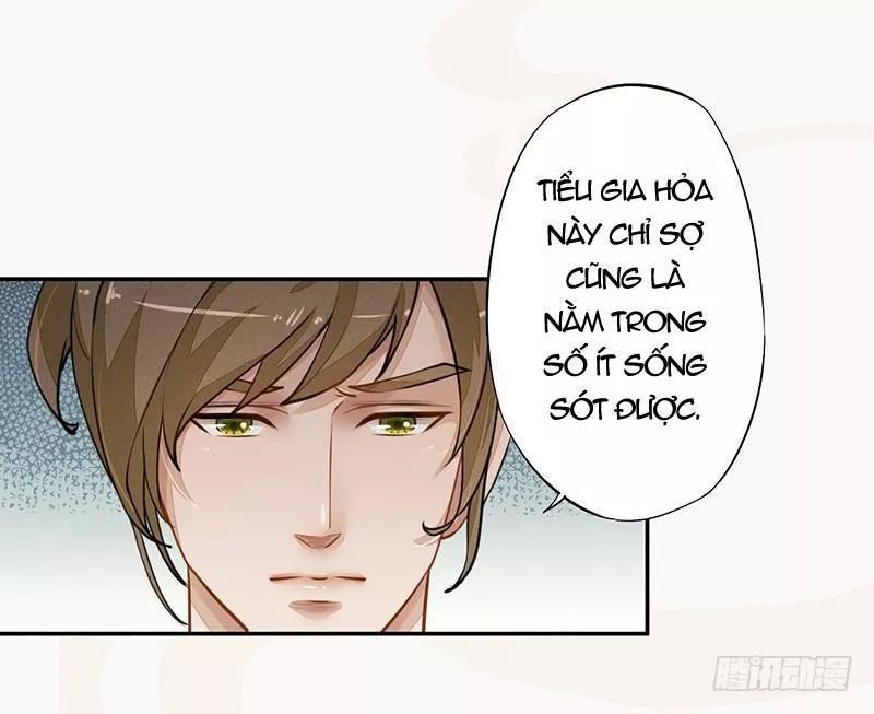 Tuyệt Thế Luyện Đan Sư Chapter 34 - 23