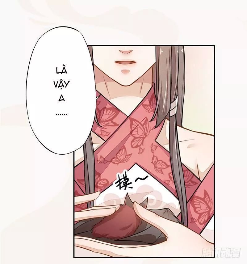 Tuyệt Thế Luyện Đan Sư Chapter 34 - 24